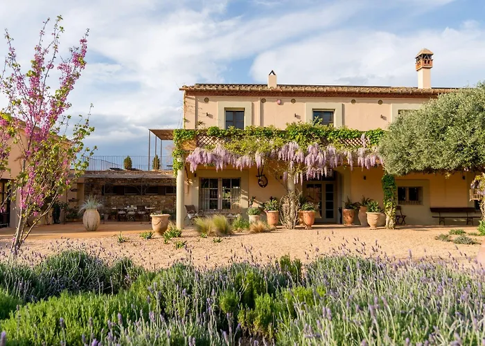 Casi House Parlava